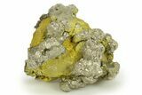 Golden Pyrite on Limonite Clay - Pakistan #283719-1